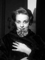 Jeanne Moreau egy félénknek tűnő macskával
