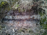 A cunami által a szárazföldön hagyott, jól kimutatható szürke hordalékréteg a barna tőzegrétegek között a kelet-skóciai Maryton földjében