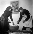 Egy ócsai asszony teljesíti tojás-beszolgáltatási kötelezettségét Ócsán (1952)