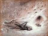 A tücsök és a hangya (Gustave Doré alkotása)