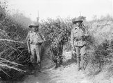 A szövetséges erők 1915-ben Gallipolinál egy bokornak álcázott török lövész fogtak
