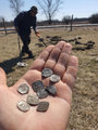 Az ásatáson talált ezüstpénzek (Facebook / Kecskeméti Múzeum)