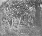 Nambikvara indiánok Mato Grosso államban, 1914.