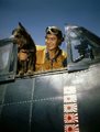 A hadiflotta pilótája, Robert L. Brown egy Hellcat pilótafülkéjében Scrappyvel, a USS Yorktown repülőgép-hordozó házi kedvencével 1943 végén