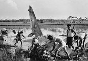 Hanoi külvárosában egy lezuhant amerikai repülőgép maradványait kutatják át az északi milícia tagjai 1972 júniusában. A pilóta nagyon alacsonyan, az erdő tetejét súrolva repült, hogy elkerülje a radarokat, azonban így az egyszerű kézifegyverekkel is le lehetett szedni